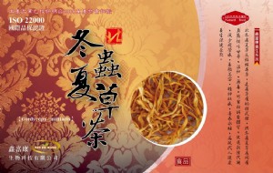 養生茶飲-北冬蟲夏草茶　10包入(盒)